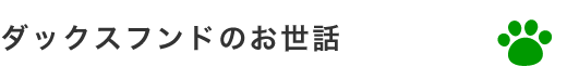 ダックスフンドのお世話