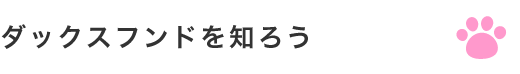 ダックスフンドを知ろう