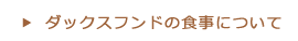 ダックスフンドの食事