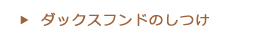 ダックスフンドのしつけ