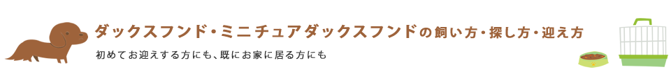 ダックスフンドの飼い方・探し方・迎え方